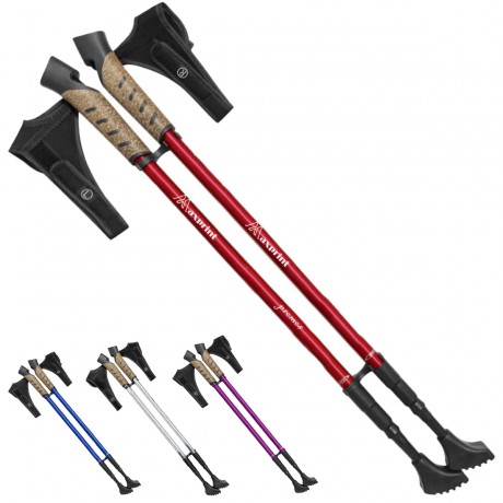 Pair of 2 Walking Sticks Hiking Poles