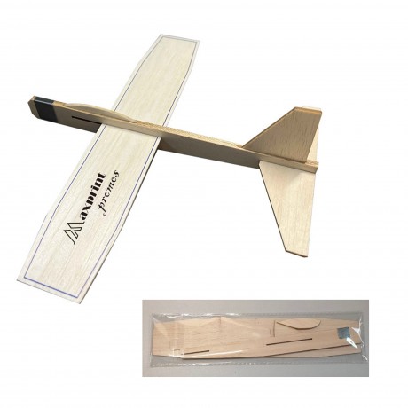 Light Wood Gift Model Plane