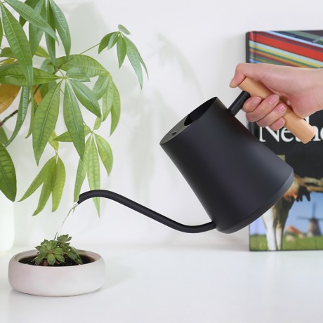 Stainless steel watering can with long spout