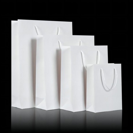 Paper Gift Bag