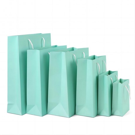 Paper Gift Bag