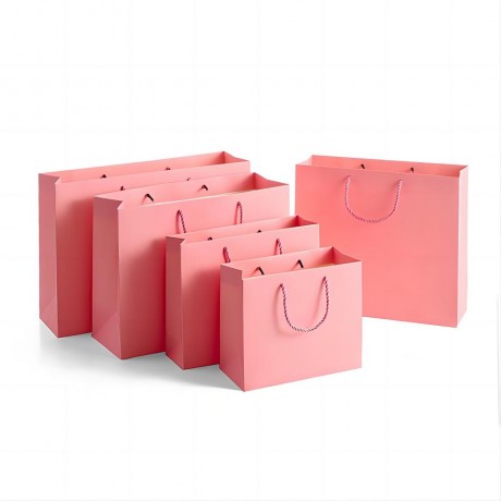 Paper Gift Bag